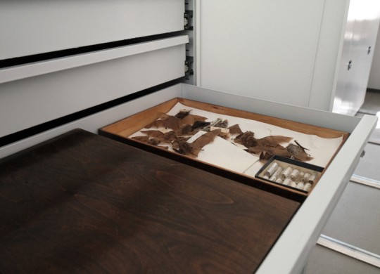 Ящики полного выдвижения